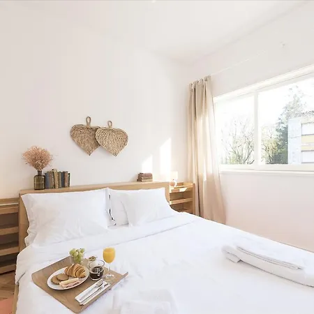 Apartment Alegre